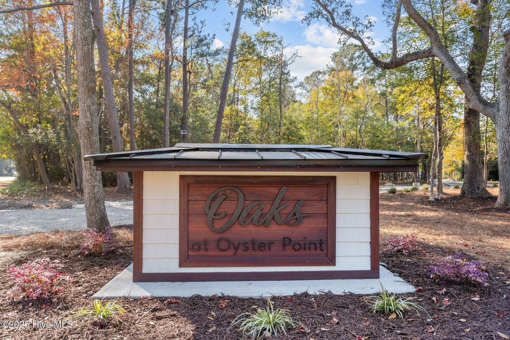 Photo of 116 Stones Throw Lane, Wilmington, NC 28411 (MLS # 100543553)