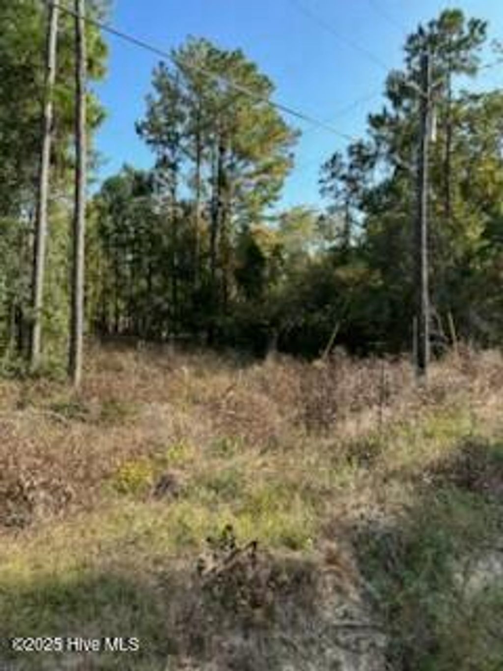 Photo of 169 Point Road, Newport, NC 28570 (MLS # 100542853)