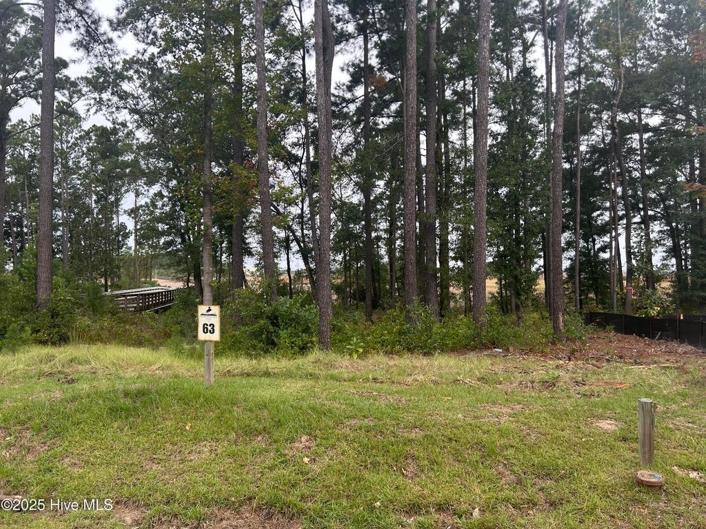Photo of 1629 Riverview Terrace, Wilmington, NC 28401 (MLS # 100535936)