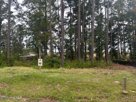 Photo of 1629 Riverview Terrace, Wilmington, NC 28401 (MLS # 100535936)