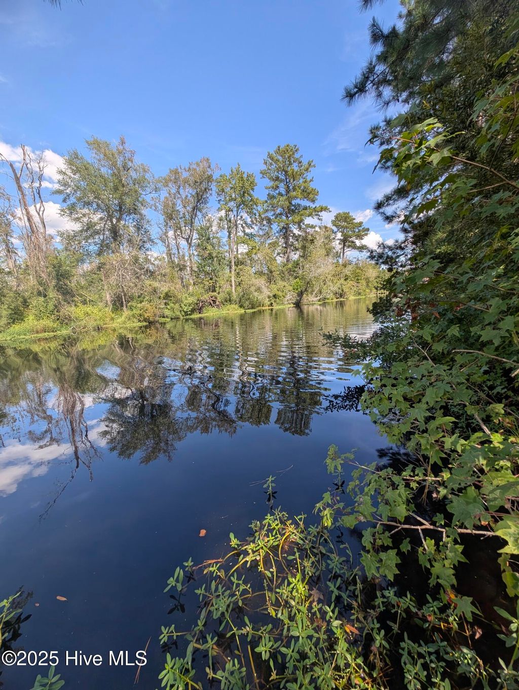 Photo of 116 Dogwood Trail Trail, Elizabeth City, NC 27909 (MLS # 100527748)