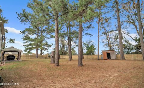 Tiny photo for 111 Briscoe Drive, Richlands, NC 28574 (MLS # 100542830)