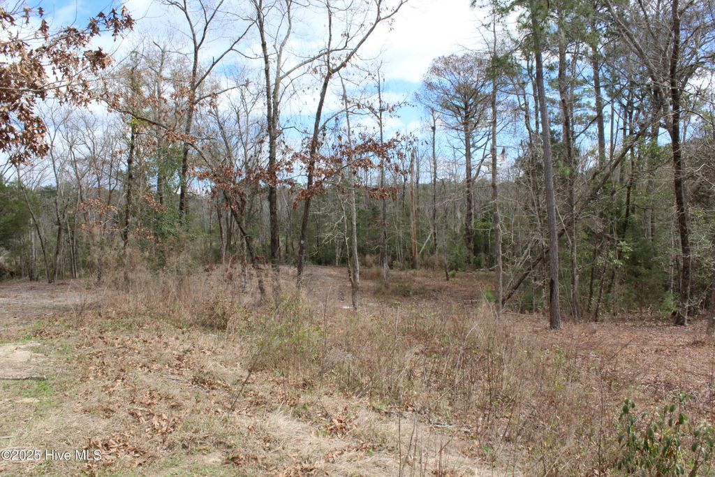 Photo of 127 Wainwright Court, Havelock, NC 28532 (MLS # 100514120)