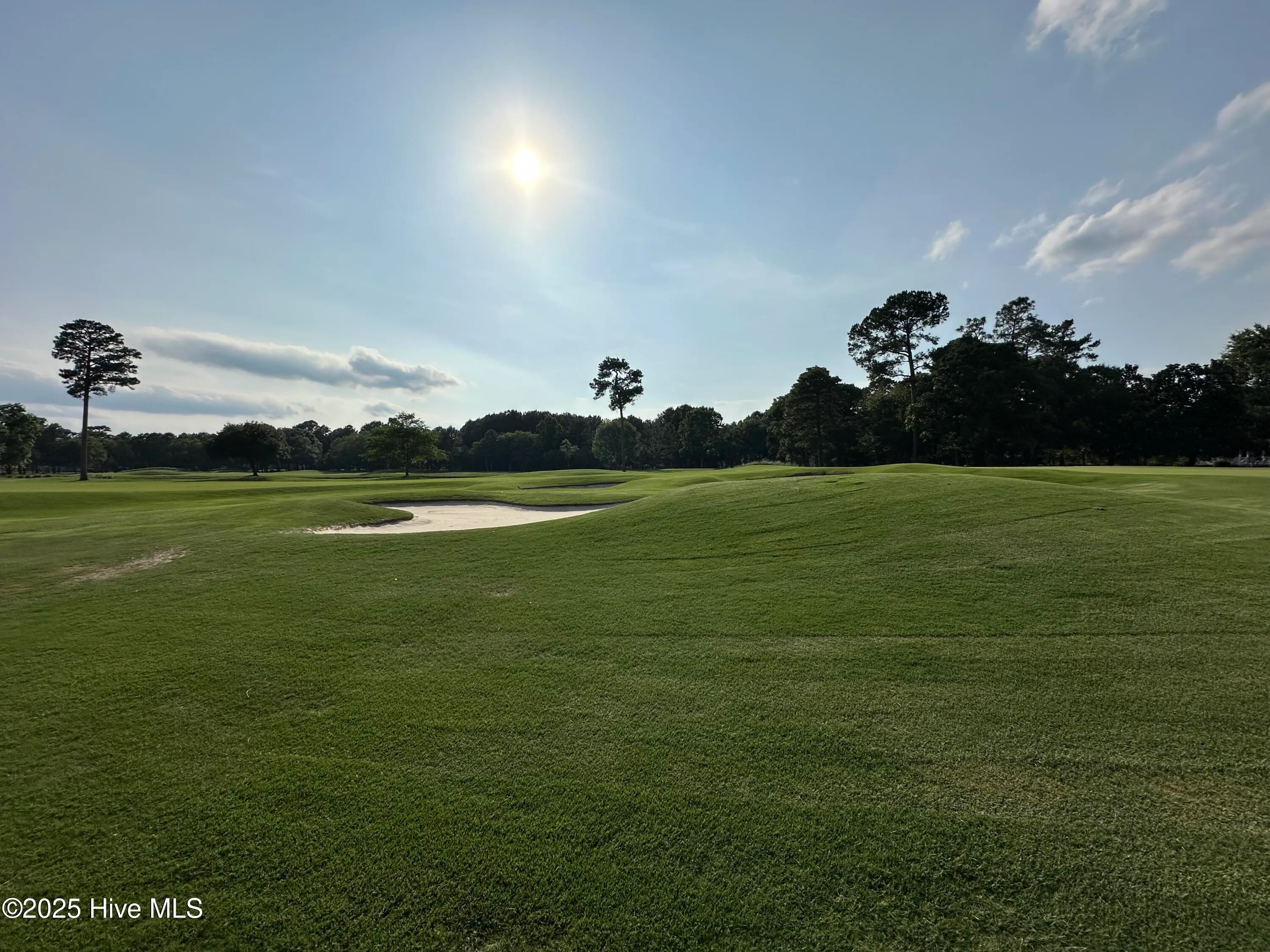 Wallace, North Carolina 28466, United States, ,Land,Active,133837