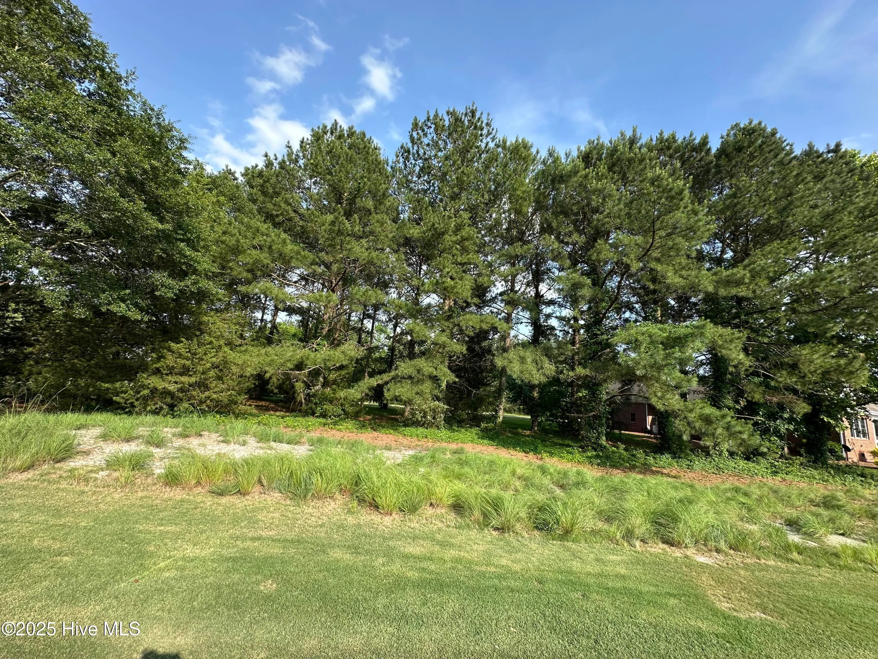 Wallace, North Carolina 28466, United States, ,Land,Active,133837