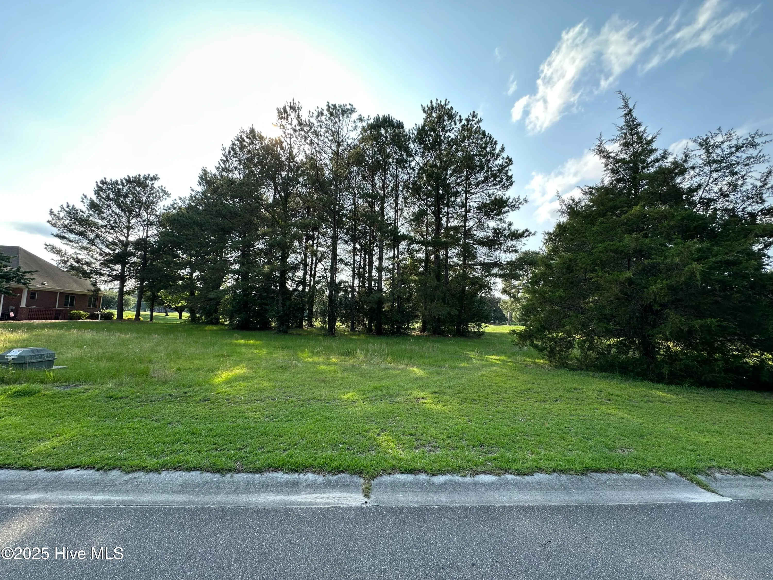 Wallace, North Carolina 28466, United States, ,Land,Active,133837