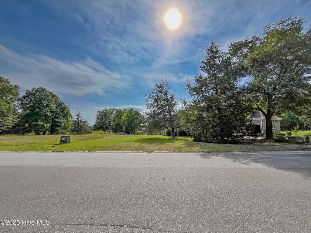 Photo of 146 Cedar Point Drive, Wallace, NC 28466 (MLS # 100508699)
