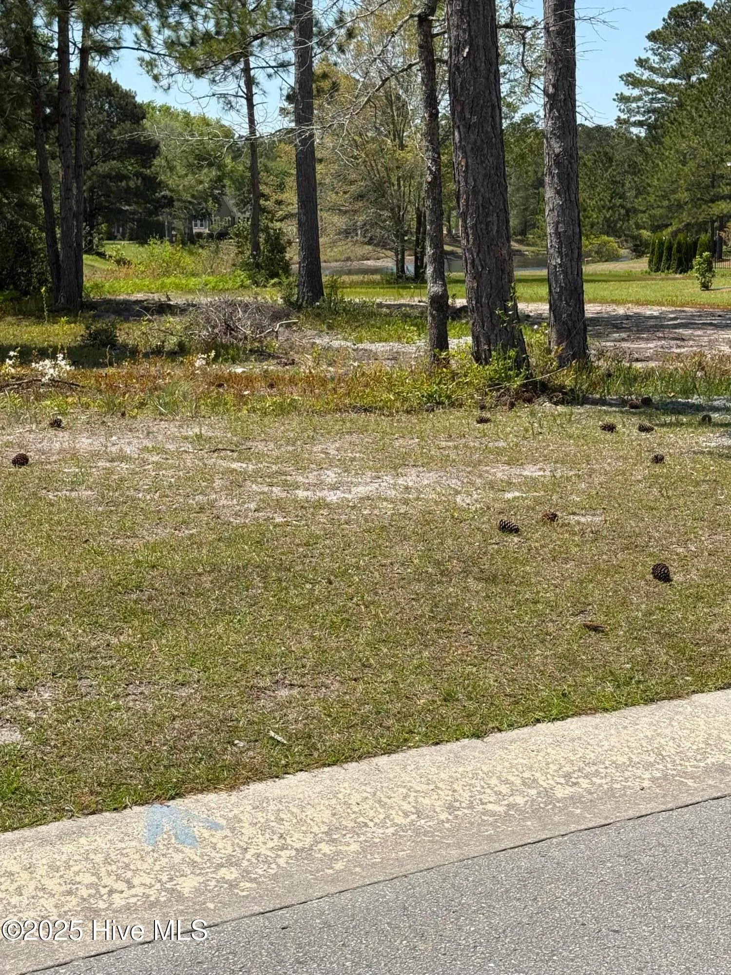 Bolivia, North Carolina 28422, United States, ,Land,Pending,108145