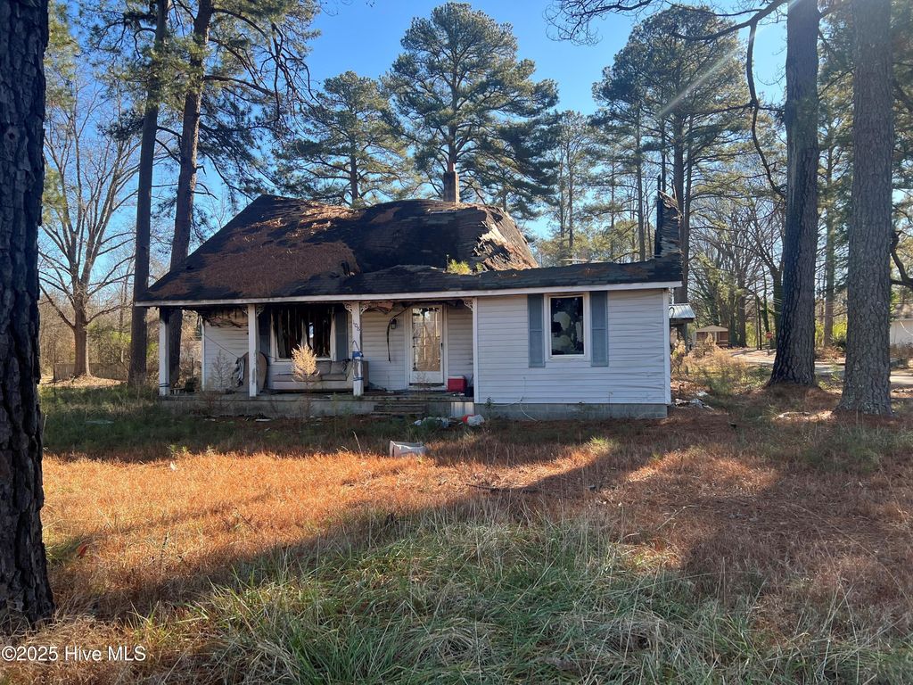 Photo of 108 Peachtree St Street, Woodland, NC 27897 (MLS # 100483280)