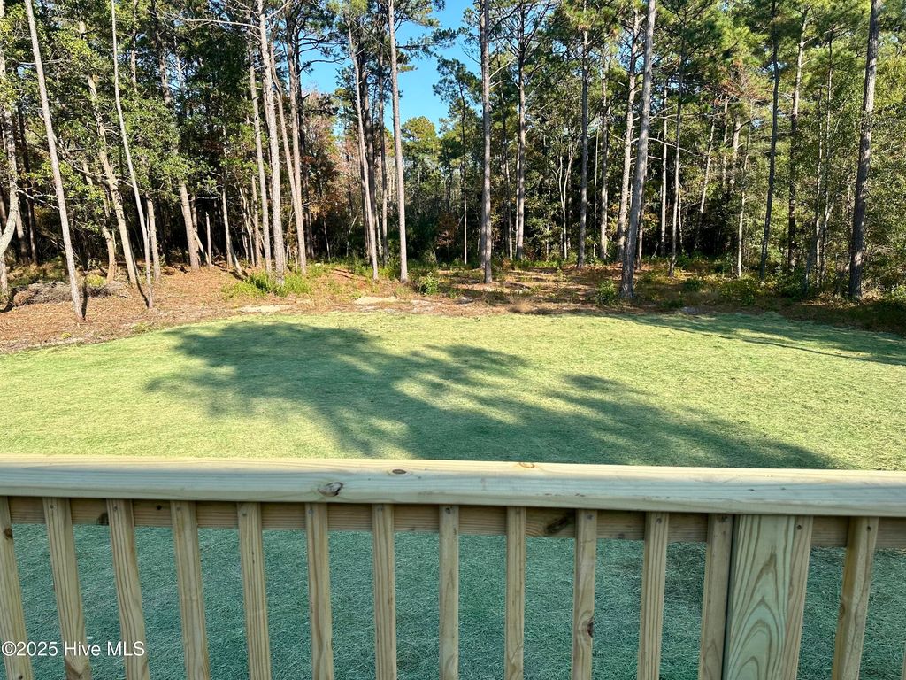 Photo of 113 Creek Line Drive, Newport, NC 28570 (MLS # 100540775)