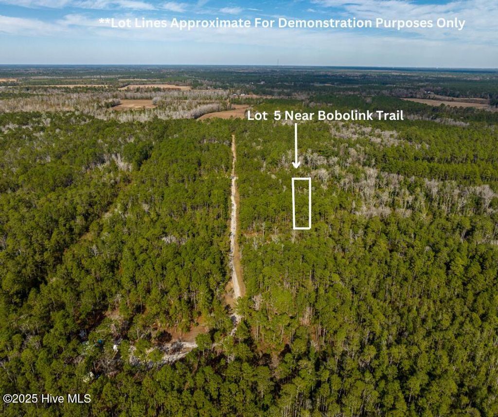 Photo of 5 Bobolink Trail SE, Southport, NC 28461 (MLS # 100532164)