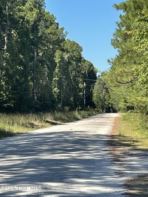 Photo of 4225 Buck Drive, Castle Hayne, NC 28429 (MLS # 100531986)