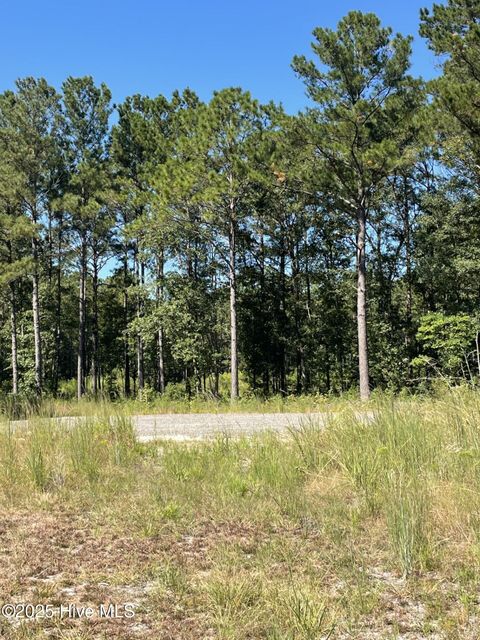 Tiny photo for 4225 Buck Drive, Castle Hayne, NC 28429 (MLS # 100531986)