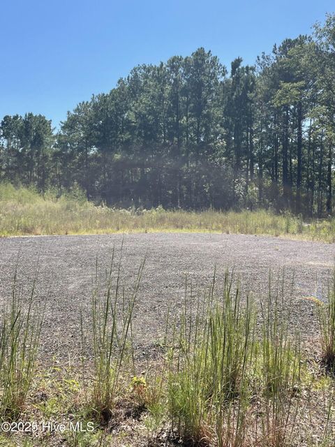 Tiny photo for 4225 Buck Drive, Castle Hayne, NC 28429 (MLS # 100531986)