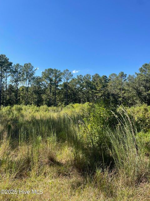 Tiny photo for 4225 Buck Drive, Castle Hayne, NC 28429 (MLS # 100531986)