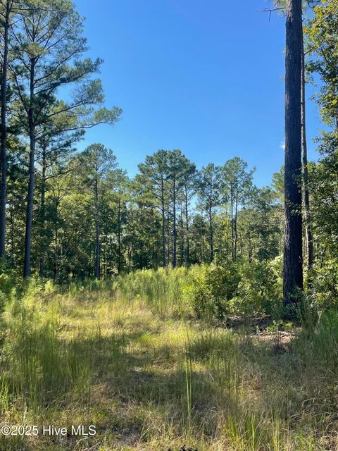 Tiny photo for 4225 Buck Drive, Castle Hayne, NC 28429 (MLS # 100531986)