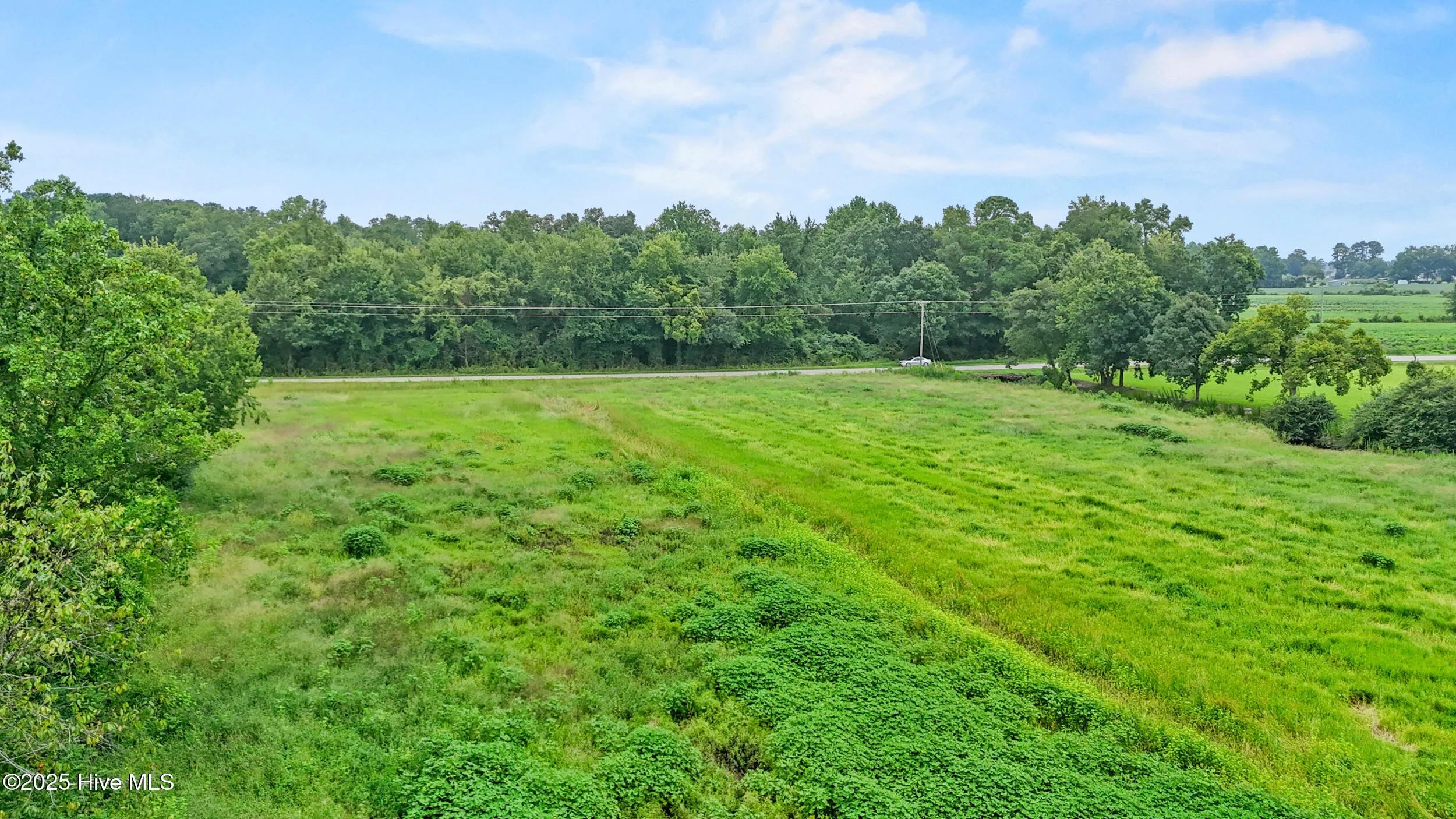 Burgaw, North Carolina 28425, United States, ,Land,Active,184844