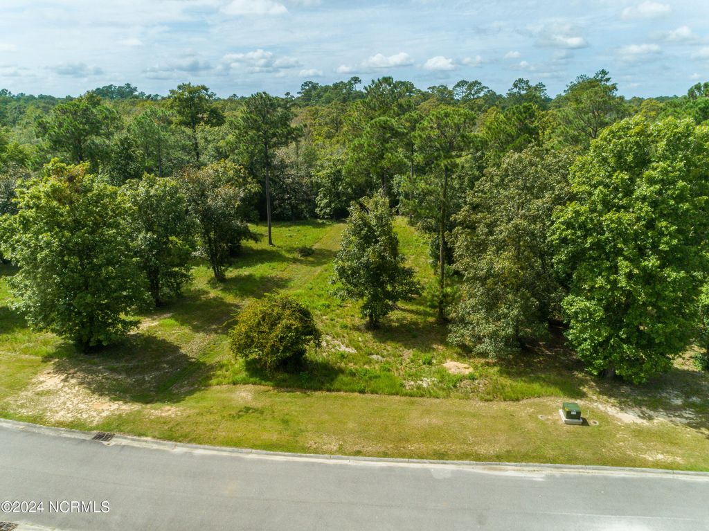 Photo of 563 Sanctuary Point SW, Supply, NC 28462 (MLS # 100466375)