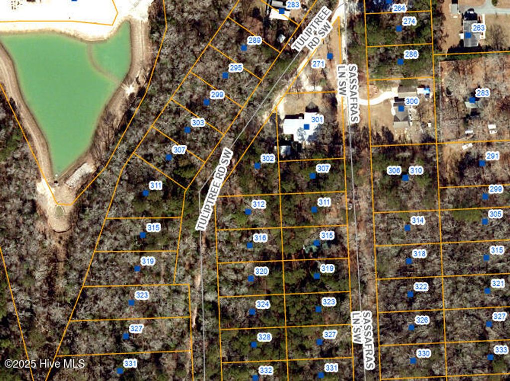 Photo of 289 Tuliptree Lane SW, Supply, NC 28462 (MLS # 100512501)