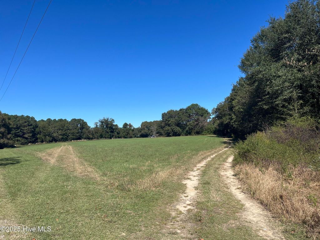 Photo of 1018 Isaac Rd, Clinton, NC 28328 (MLS # 100537021)