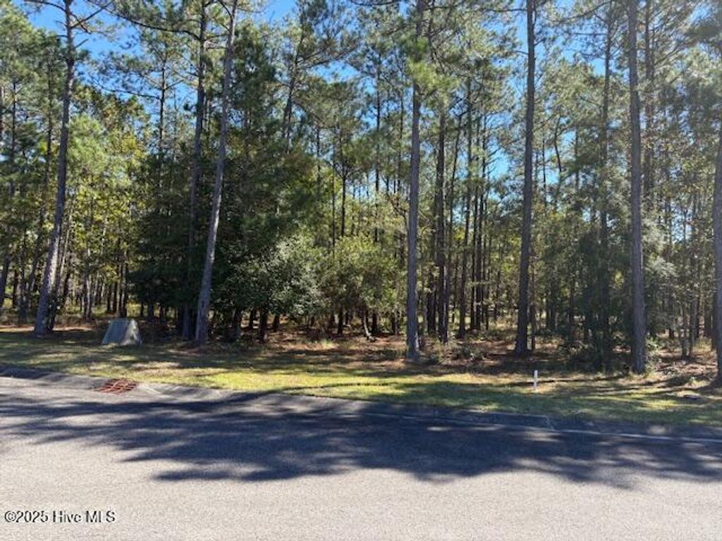 Photo of 3002 Vera Cruz Circle SE, Bolivia, NC 28422 (MLS # 100537165)