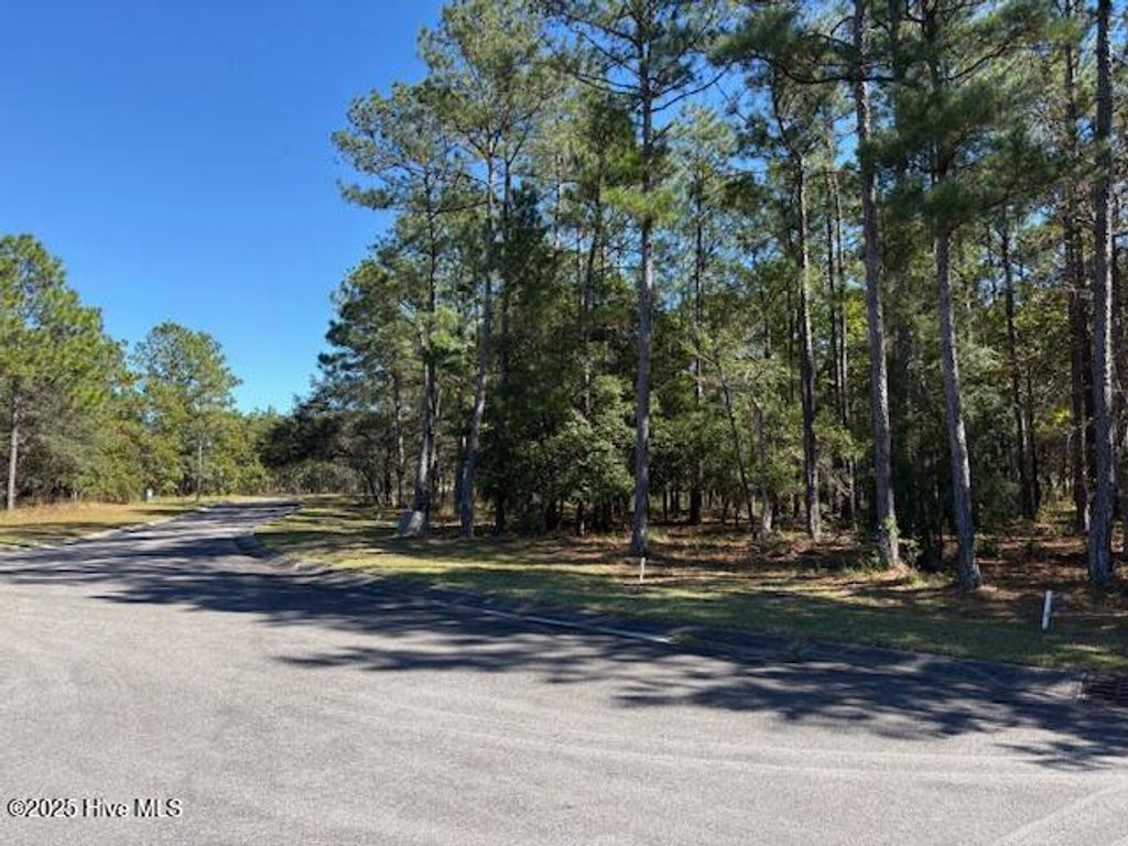 Photo of 3002 Vera Cruz Circle SE, Bolivia, NC 28422 (MLS # 100537165)