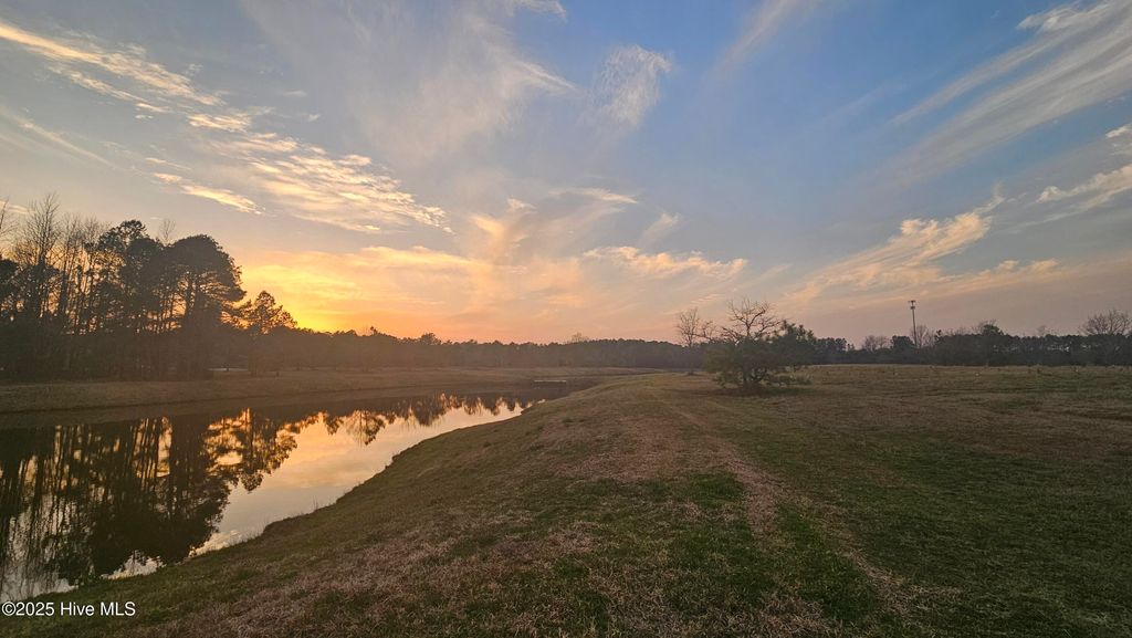 Photo of 178 Sycamore Lakes Drive, Wallace, NC 28466 (MLS # 100493786)