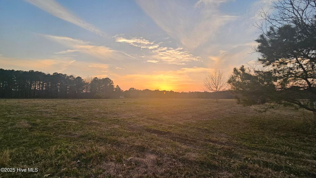 Photo of 178 Sycamore Lakes Drive, Wallace, NC 28466 (MLS # 100493786)