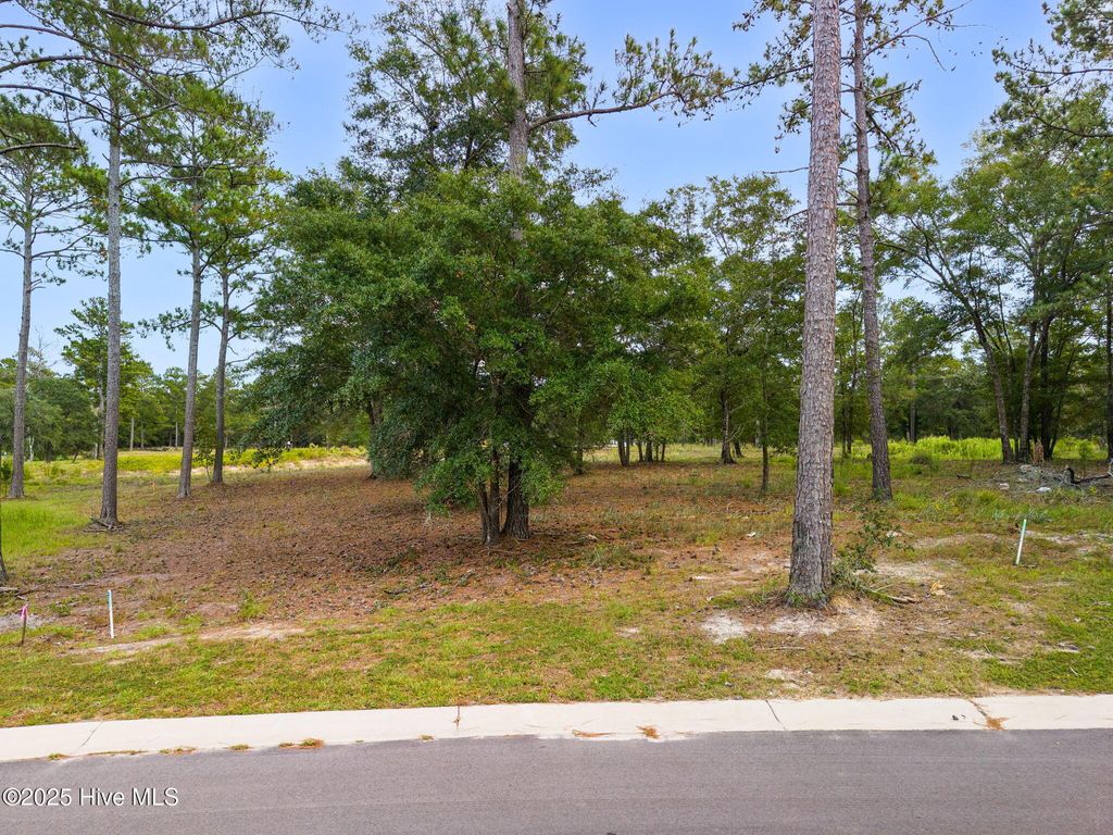 Photo of 7472 Donegal Circle SW, Sunset Beach, NC 28468 (MLS # 100534524)