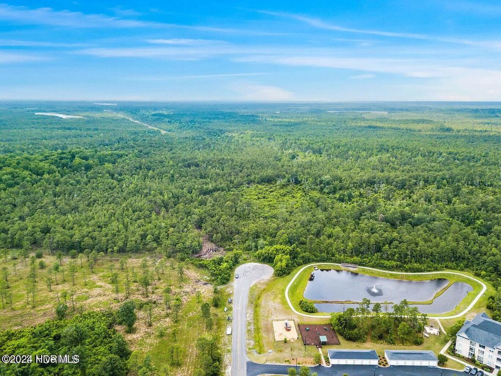 Photo of 366 Greenview Ranches, Wilmington, NC 28411 (MLS # 100479655)