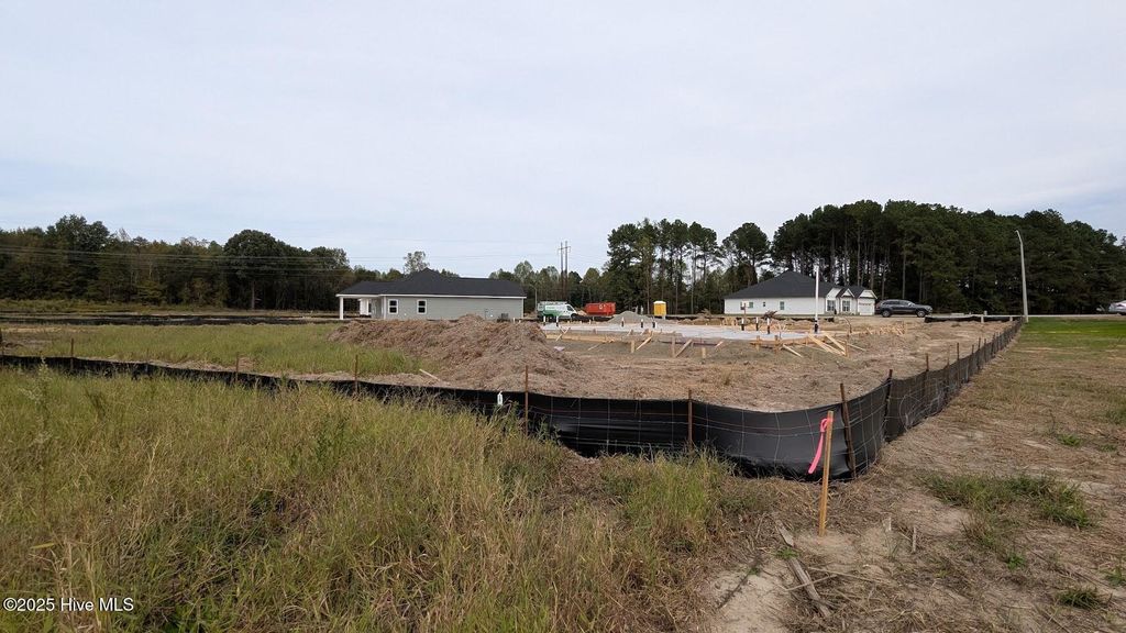 Photo of 489 Sweet Potato Lane #Lot 11, Nashville, NC 27856 (MLS # 100535784)