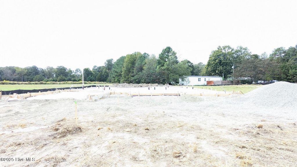 Photo of 489 Sweet Potato Lane #Lot 11, Nashville, NC 27856 (MLS # 100535784)
