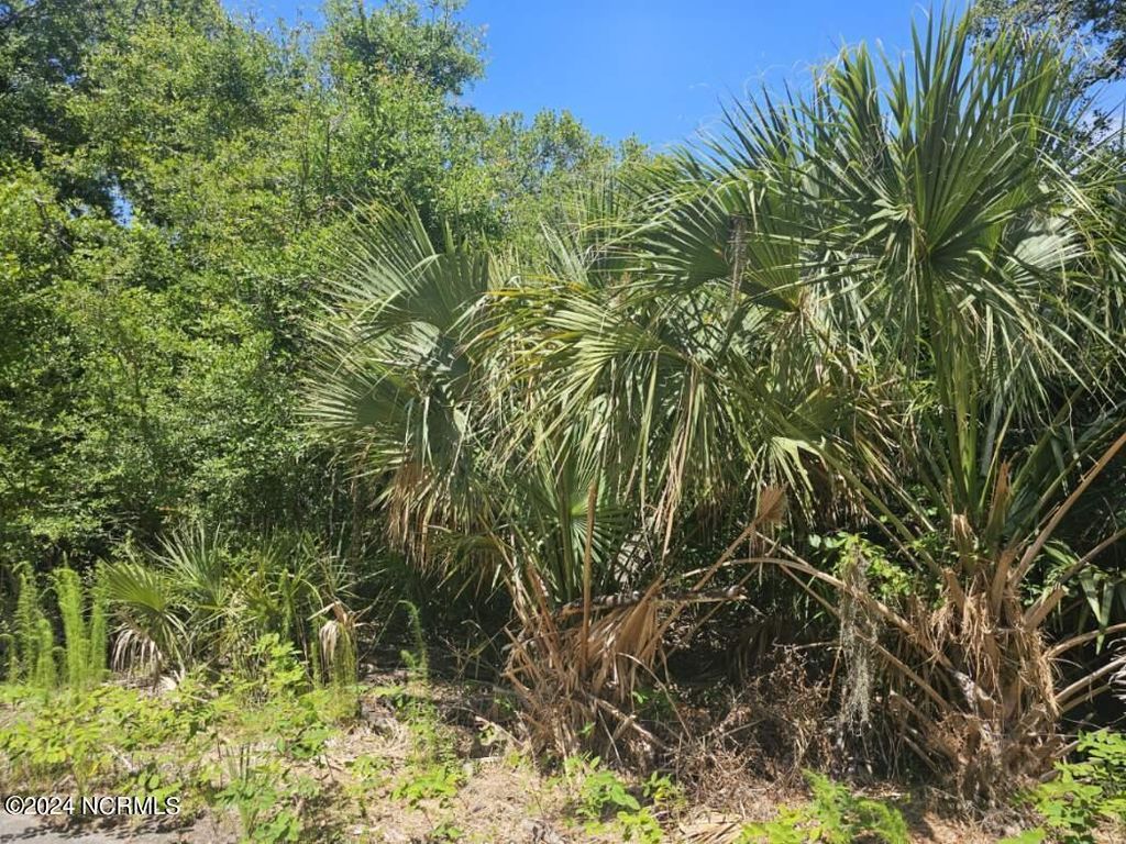 Photo of 6 Red Bay Court, Bald Head Island, NC 28461 (MLS # 100451699)