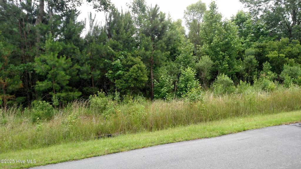 Photo of 212 Plumtree Circle, Edenton, NC 27932 (MLS # 100537945)