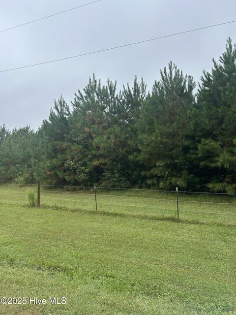 Tiny photo for 106 Crooked Run Road, Willard, NC 28478 (MLS # 100533540)