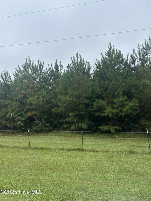 Tiny photo for 106 Crooked Run Road, Willard, NC 28478 (MLS # 100533540)