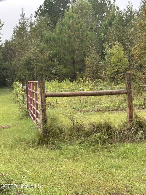 Tiny photo for 106 Crooked Run Road, Willard, NC 28478 (MLS # 100533540)