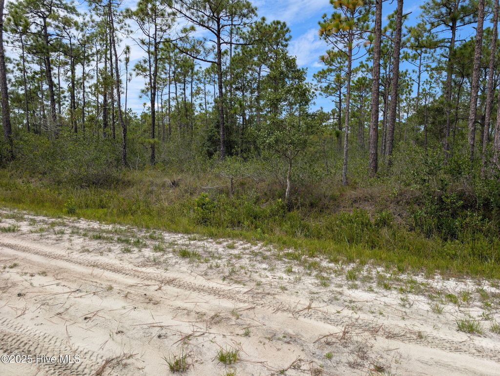 Photo of 800 Green Lawn Road, Southport, NC 28461 (MLS # 100528342)