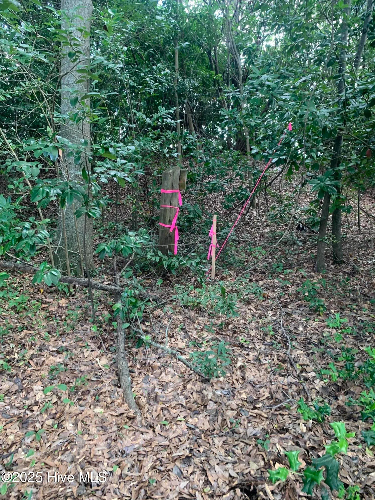 Clinton, North Carolina 28328, United States, ,Land,Active,164946