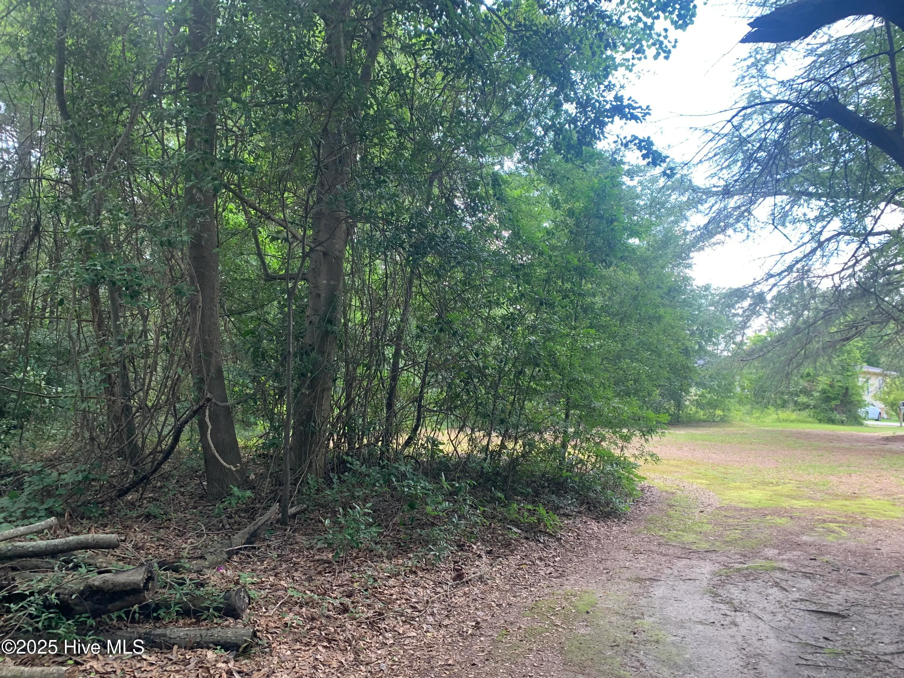 Clinton, North Carolina 28328, United States, ,Land,Active,164946