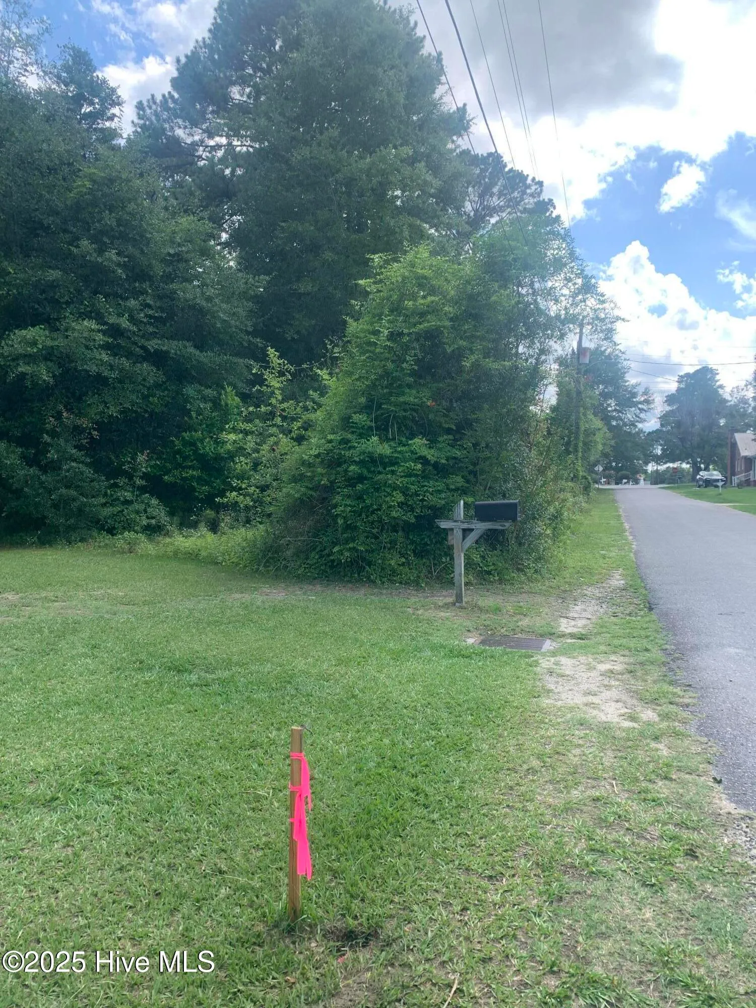 Clinton, North Carolina 28328, United States, ,Land,Active,164946