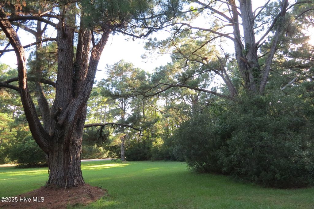 Photo of 6119 Ensign Road, Oriental, NC 28571 (MLS # 100521885)