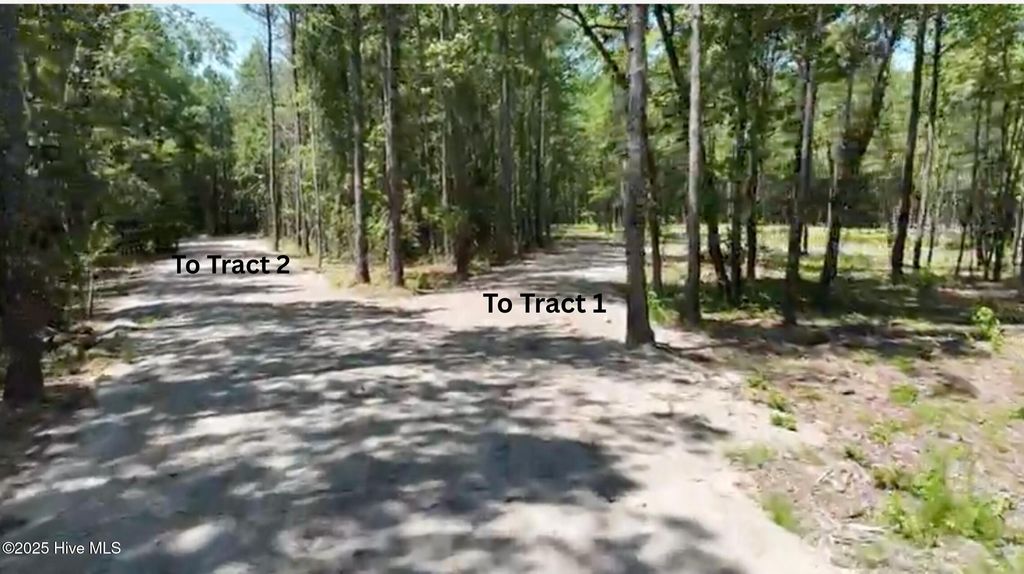 Photo of 2 Cameron Hill Road, Cameron, NC 28326 (MLS # 100538082)