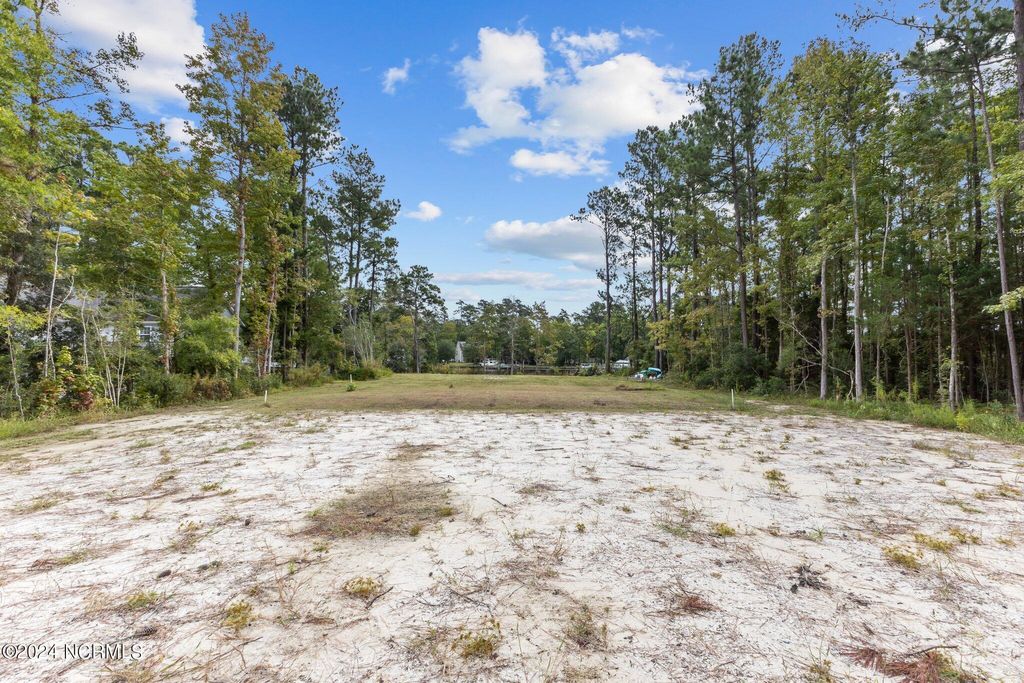 Photo of 205 Ida Bell Lane, Beaufort, NC 28516 (MLS # 100468331)