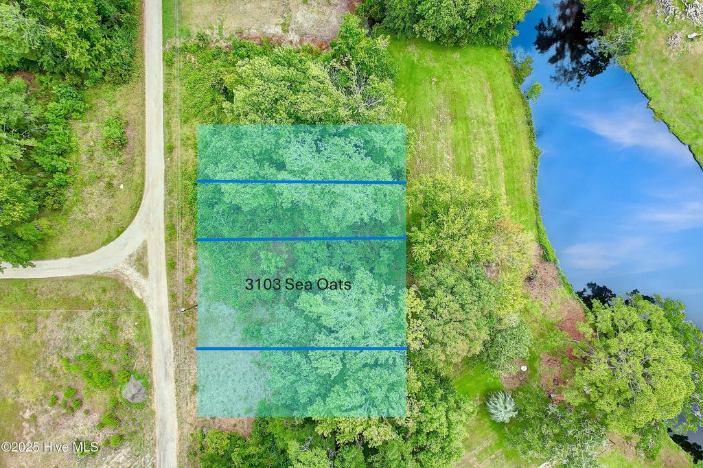 Photo of 3103 Sea Oats Drive SW, Supply, NC 28462 (MLS # 100521690)