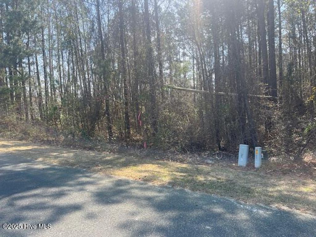 Photo of 1864 Sunset Cove Drive SE, Bolivia, NC 28422 (MLS # 100499315)