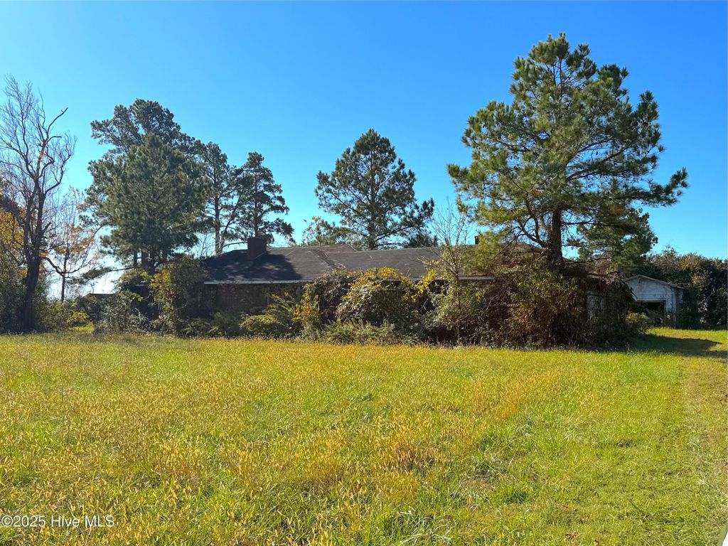 Photo of 4688 Nc 99 Highway S, Pantego, NC 27860 (MLS # 100540992)