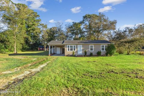 Photo of 627 Ludie Brown Road, Chinquapin, NC 28521 (MLS # 100536913)