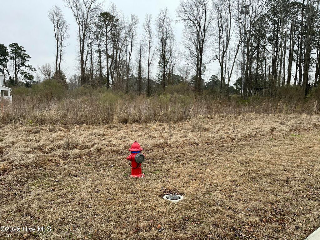 Photo of 309 Preservation Pt Avenue, Wilmington, NC 28401 (MLS # 100490027)