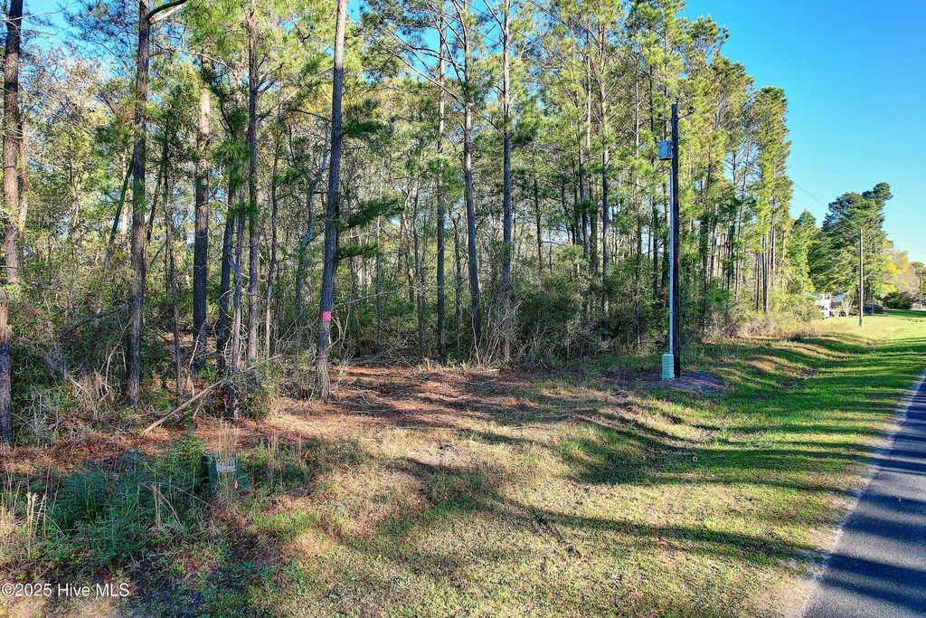 Photo of 2151 River Street SW, Supply, NC 28462 (MLS # 100541292)